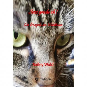 Jetzt spreche ich ! FIV Kater Bailey berichtet aus seinen Leben