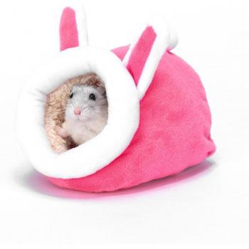 Guinea Pig Cozy Nest