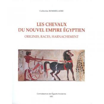 l'affiche 1900