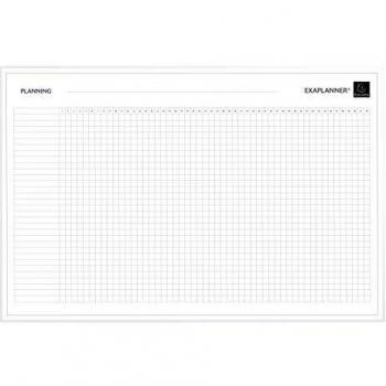 Exacompta Exaplanner Project Management Magnetic Wall Planner