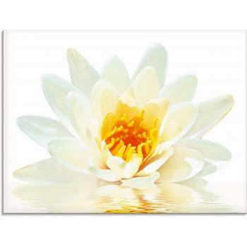 Glasbild »Lotusblume auf Wasseroberfläche«