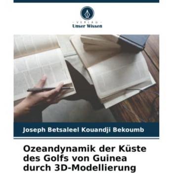 Kouandji Bekoumb, Joseph Betsaleel: Ozeandynamik der Küste des Golfs von Guinea durch 3D-Modellierung