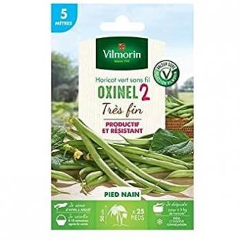 Oxinel Zwerggrüne Bohne Samen – 5 m