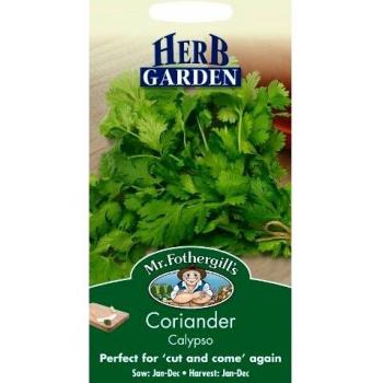 Grow Your Own Coriander Seeds