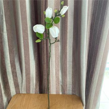Ramas de Magnolia Grandes para Decoración Navideña