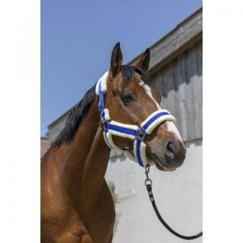 Blue Haven Pony Neckwear