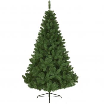 Imperialer Kiefern-Weihnachtsbaum 240 cm mit 980 Zweigen