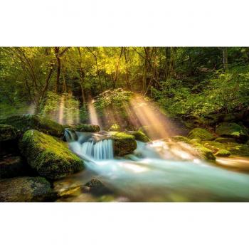 Tableau Paysage Cascade Forêt 80×50 cm HXA DECO