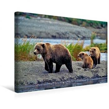 Rolf Kopfle – Grizzly Baerin in Flusslandschaft (45 × 30 cm) auf CALVENDO Leinwand