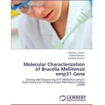 Molecular Characterization of Brucella Mellitensis omp31 Gene: Cloning and Sequencing of B. Mellitensis omp31 Gene Extraction of Native Outer Membrane Protein