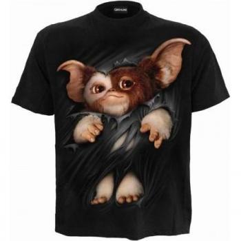 Spiral Manica Lunga T-Shirt HE2728