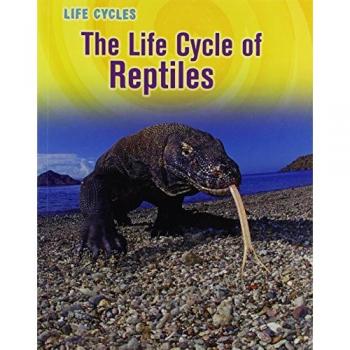 The Life Cycle of Reptiles (Heinemann Infosearch Level R: Life Cycles)