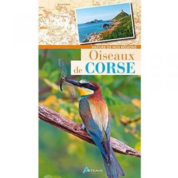 Oiseaux de corse