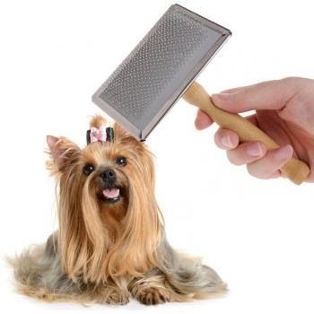 Accessoire de toilettage animalier anti-prise