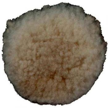 Metabo 631223000 Haft-Lammfellpolierscheibe 130 mm