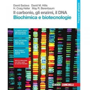 Il carbonio, gli enzimi, il DNA. Biochimica e biotecnologie. Per le Scuole superiori. Con Contenuto digitale