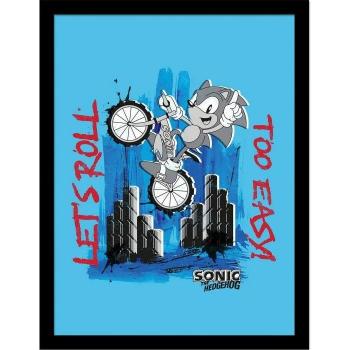 Pôster Sonic Enmarcado 40cm Azul y Gris
