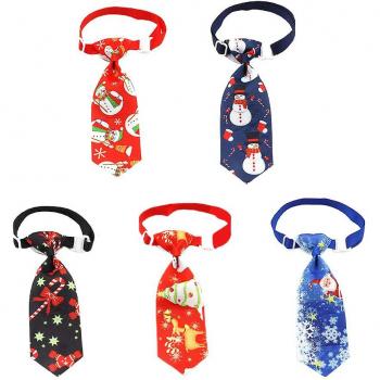 Porte-Collier 5 pièces avec Couleurs Aléatoires