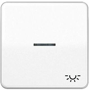 Placca di copertura interruttore simbolo luce Bianco alpino CD590KO5LWW