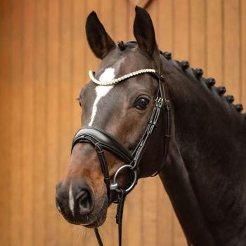 Passier Trensen „Favorite“ – Limited Edition 2024, mit edlem Schwarz‑Edelstahl‑Finish, von Ingrid Klimke