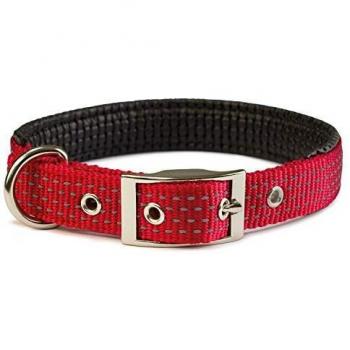 Collar de nylon rojo para perros Arquivet 1,5 x 38 cm