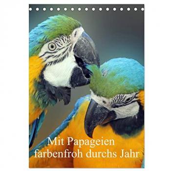 Mit Papageien farbenfroh durchs Jahr (Tischkalender 2025 DIN A5 hoch) CALVENDO Monatskalender
