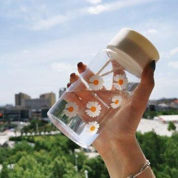 Transparent Daisy Water Bottle 500ml BPA-Free
