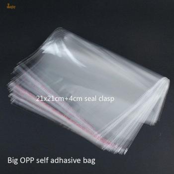 100 Stuks BOPP Hersluitbare Zakken 21x21cm + 4cm