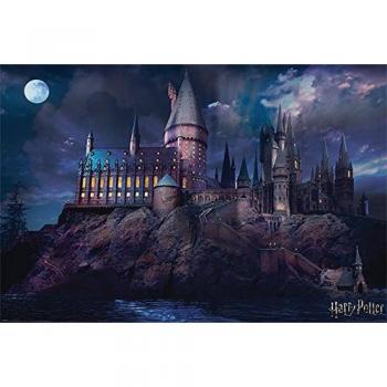 Grupo Erik Harry Potter Hogwarts Poster 91,5 x 61 cm