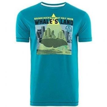 Ternua Camiseta de Entrenamiento Verde Menta Hombre L