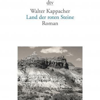 Land der roten Steine: Roman