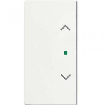 Busch-Jaeger 6232-20-884 Wippe 2-fach links/rechts, mit Symbol Jalousie