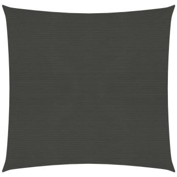 Sonnensegel 160 g/m² in Anthrazit 2,5x2,5 m