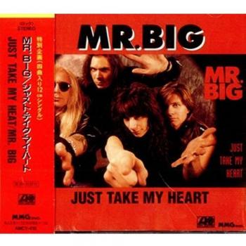 Just Take My Heart