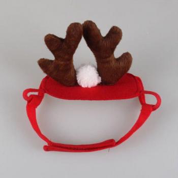 Animal Noël Déguisé