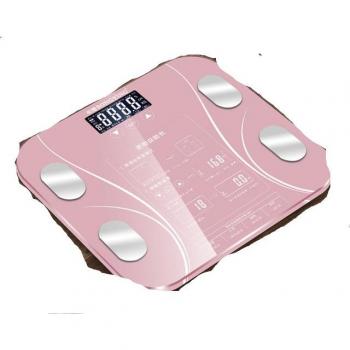 Electronic Weight and Body Fat Monitor