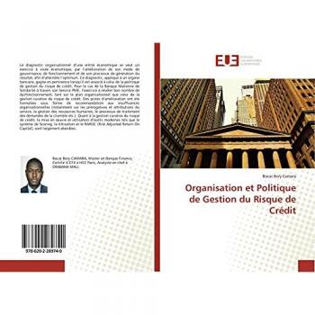 Organisation et Politique de Gestion du Risque de Crédit