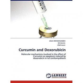Curcumin and Doxorubicin: Molecular mechanisms involved in the effect of Curcumin on apoptosis induced by doxorubicin in rat cardiomyoblasts