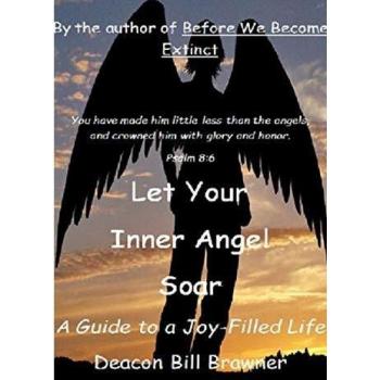 Let Your Inner Angel Soar: A Guide to a Joy Filled Life
