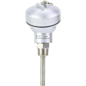 Termometro a resistenza PT100 1/2 NPT, testina termocoppia – Zoternen