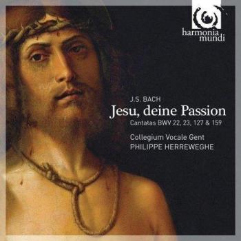 Jesu, Deine Passion