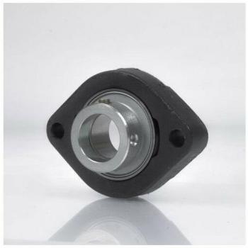 NTN Sistema de Soporte para Cojinetes con Brida ASFD202 DN 15 mm Ovalado