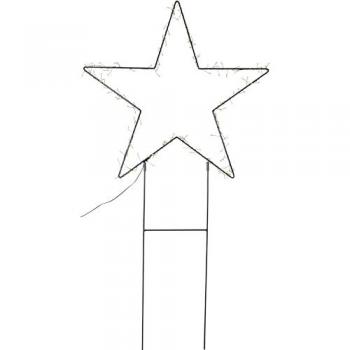 Star Trading