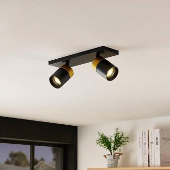 Nikora Two-Light Accent Down