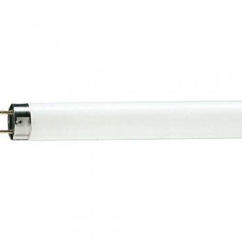Lampada 3696PRO Philips Neon