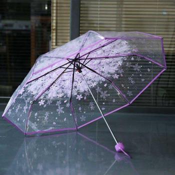 3-Fold Transparent Umbrella with Clear Vision