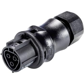 Wieland X6.031 4053.1 Plug‑In