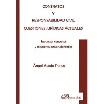 Contratos y responsabilidad civil. Cuestiones jur¡dicas actuales: Supuestos concretos y soluciones jurisprudenciales (Tapa blanda).