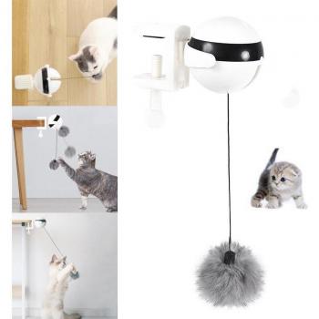Puzzle Cat Ball Toy
