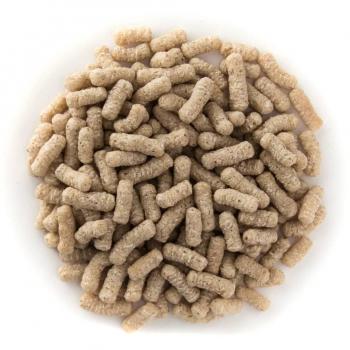 Ubbink Bâtonnets Blancs pour Poissons – 15 L